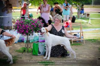 Group 5 for Ozzy at Ādai National Dog Show, 27.07.2014